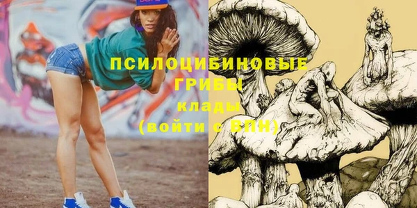 ешки Санкт-Петербург