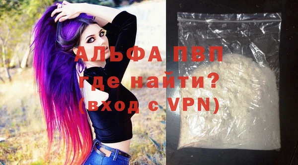 ешки Санкт-Петербург