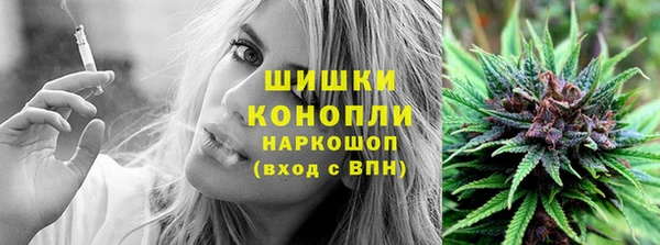 ешки Санкт-Петербург