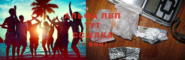 ешки Санкт-Петербург