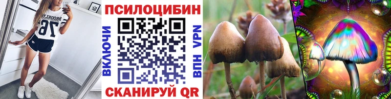 хочу наркоту  Нижний Новгород  Псилоцибиновые грибы Psilocybe 