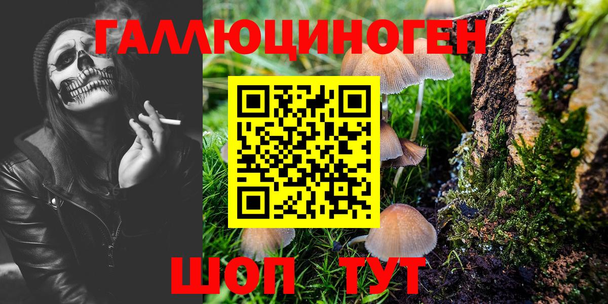 Галлюциногенные грибы MAGIC MUSHROOMS Россия