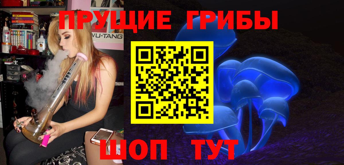 Псилоцибиновые грибы Psilocybine cubensis  Вход с VPN  Россия 