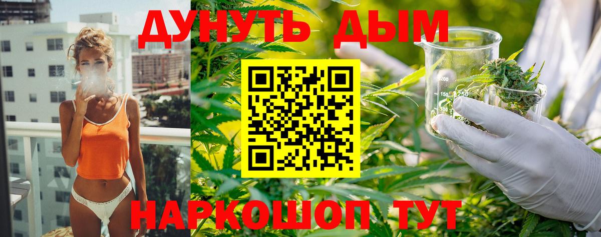 Бошки Шишки MAZAR  МАРИХУАНА сатива  Россия 